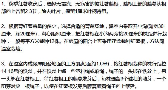 红薯种植开始育苗时候要浇水吗_红薯什么时候种植开始育苗_红薯种植开始育苗时候浇水吗