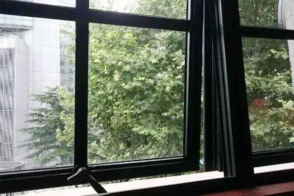 好摆放床头绿植吗_床头摆放绿植好不好_适合放床头的植物
