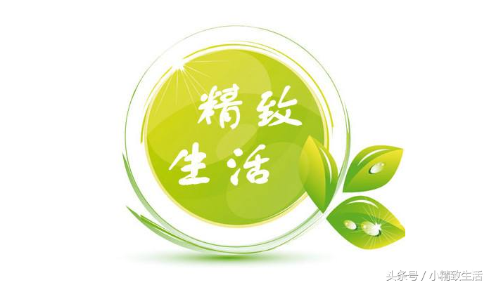 莲花状植物多肉有哪些品种_莲花状多肉植物有哪些_莲花状植物多肉有哪些