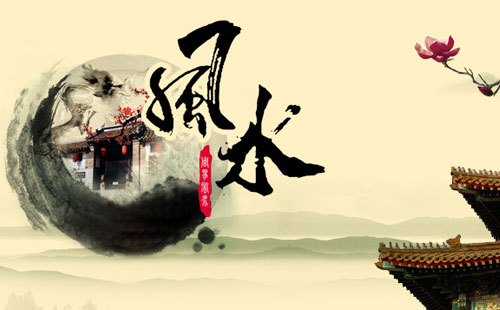 摆放讲究家中绿植好吗_家中摆放绿植的讲究_摆放讲究家中绿植有哪些