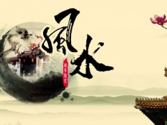 “在风水学上，绿植到底怎么摆放？”